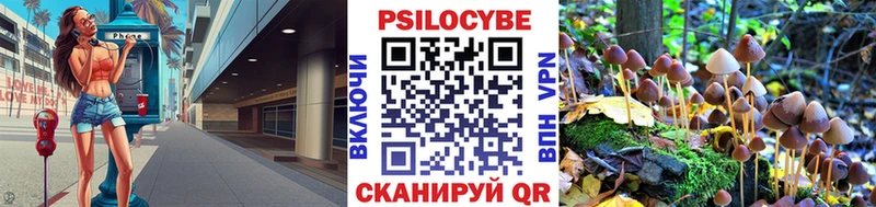 даркнет сайт Белозерск Галлюциногенные грибы Psilocybe